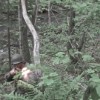 muzzle flash
